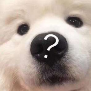 1698997704092075131.png image.png