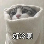 1700210011702074880.png image.png